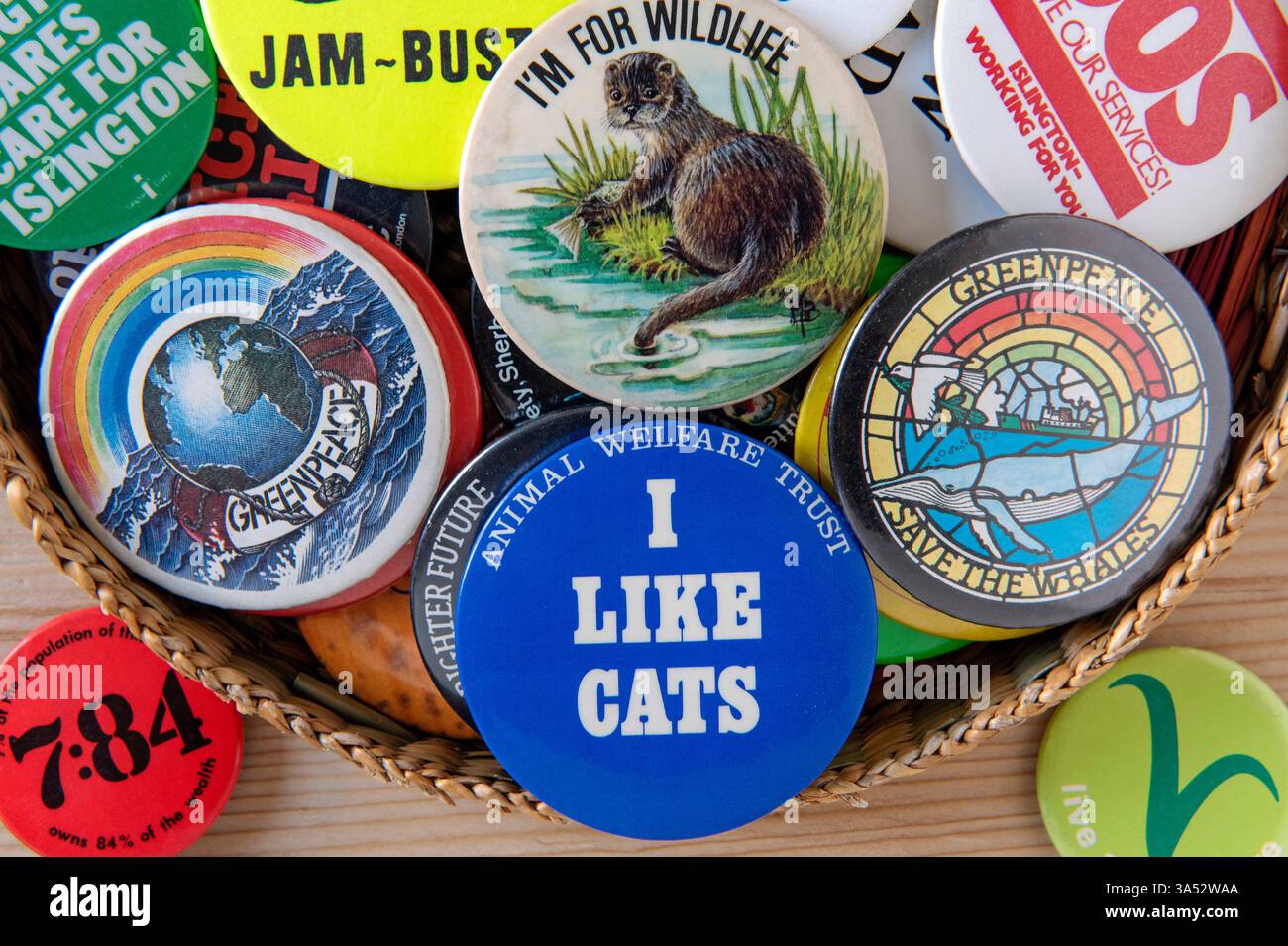 Selezione di spille vintage nel cestino con i Like Cats in primo piano, oltre a spille Greenpeace e fauna selvatica Foto Stock