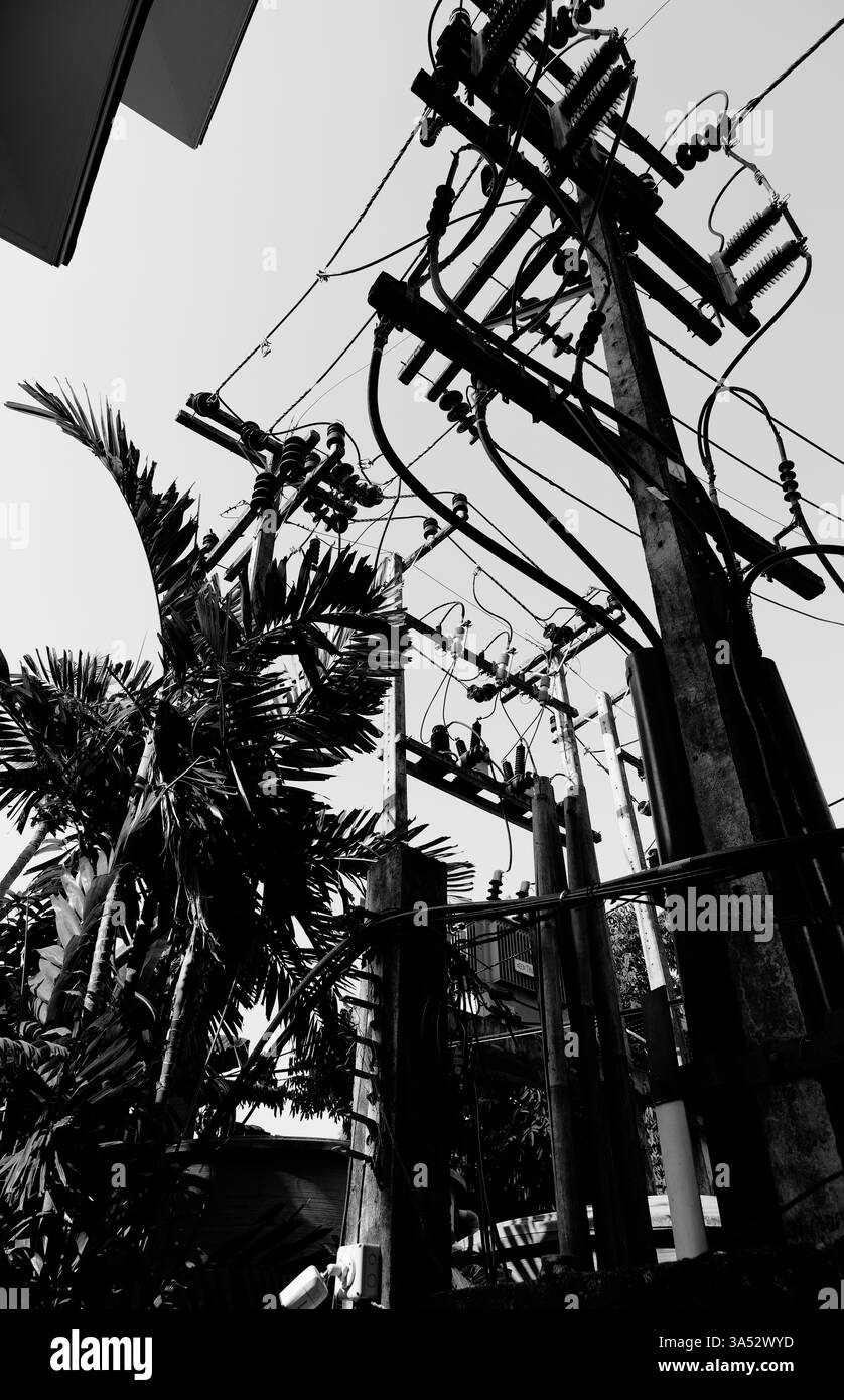 Una rete caotica di linee elettriche contrasta con le palme tropicali di Railay Foto Stock