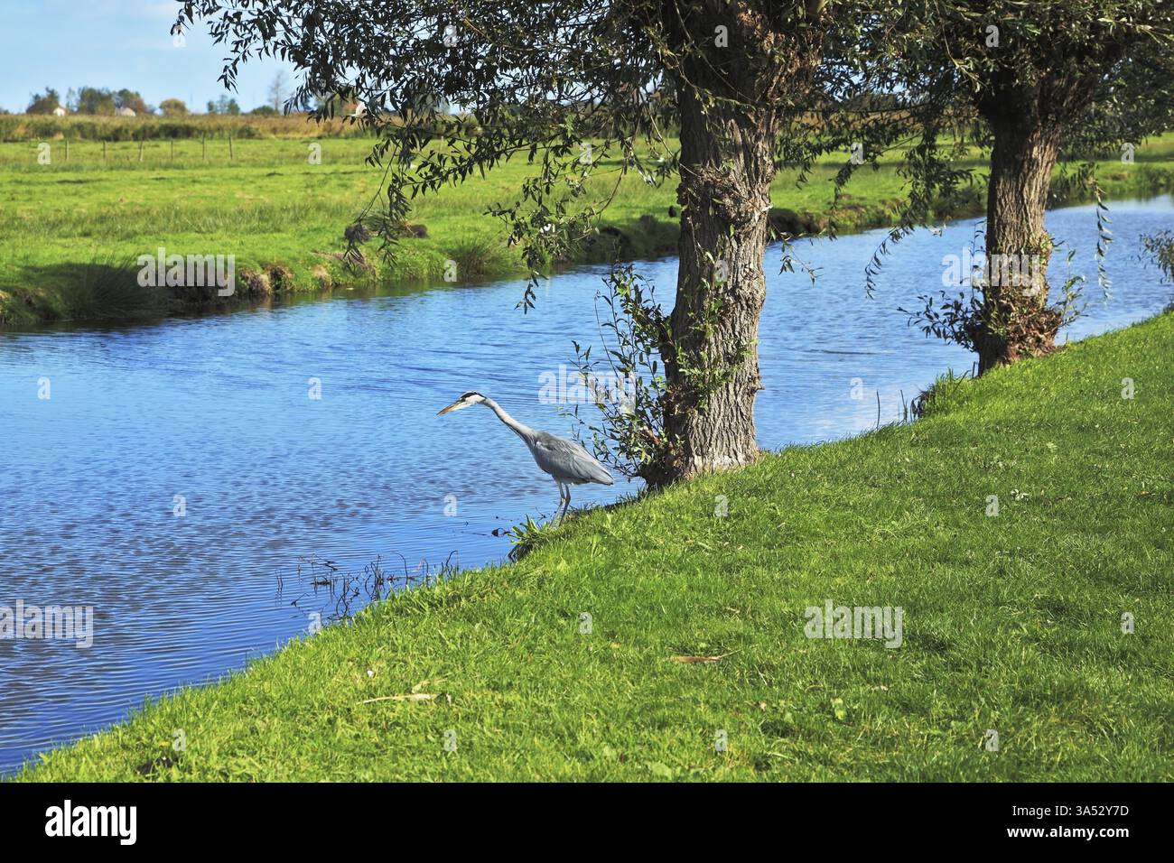L'acqua blu è un canale stretto tra le rive verdi erbose Foto Stock