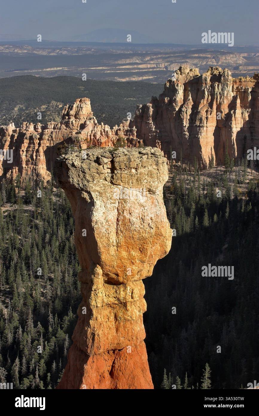 Le famose rocce arancioni del canyon di Bryce nello stato dello Utah USA Foto Stock