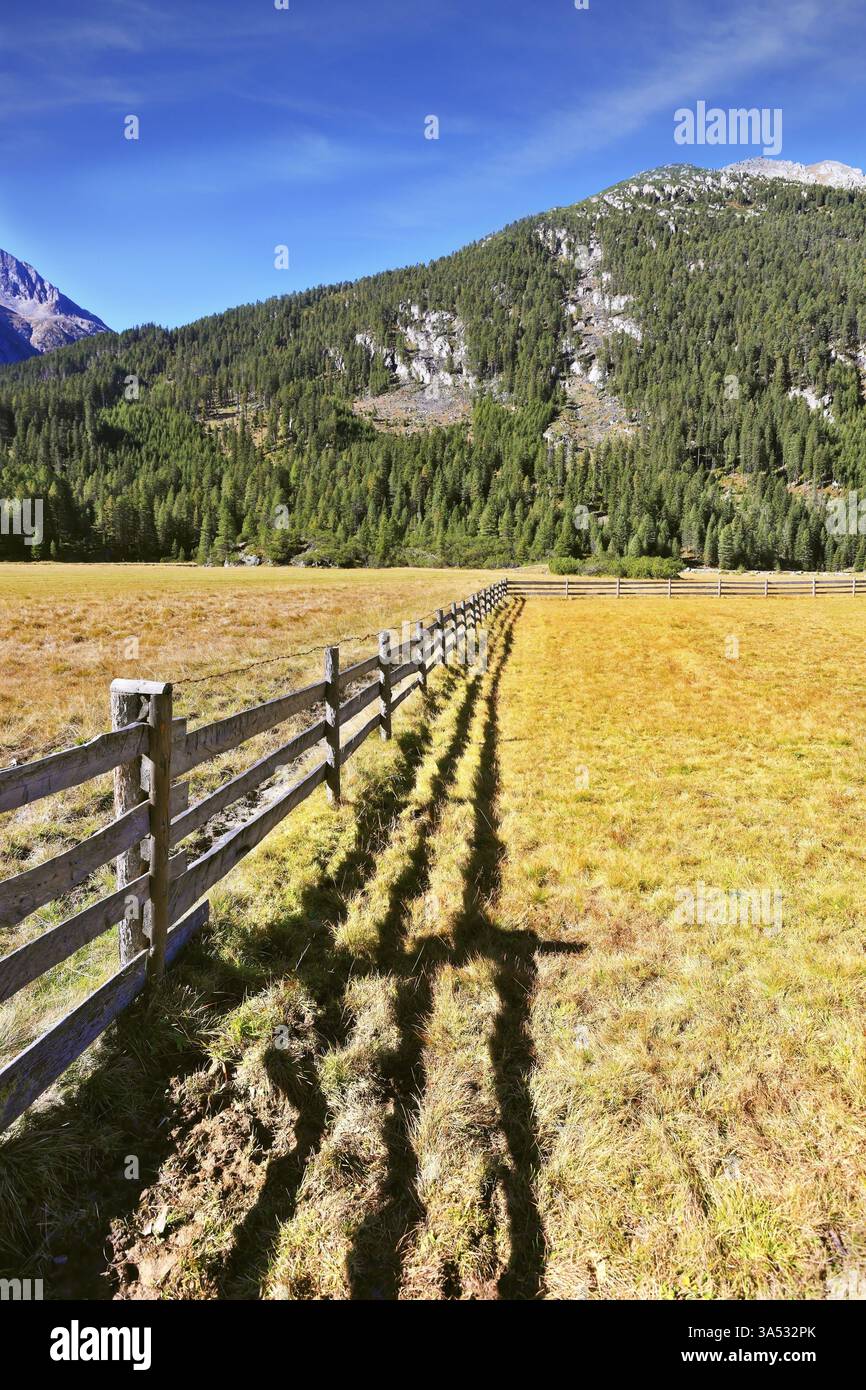 Valle alpina in Austria. Parco nazionale delle cascate di Krimml. Campi panoramici bloccati accanto al recinto di legno. L'ombra della recinzione bassa si stende magnificamente su t Foto Stock
