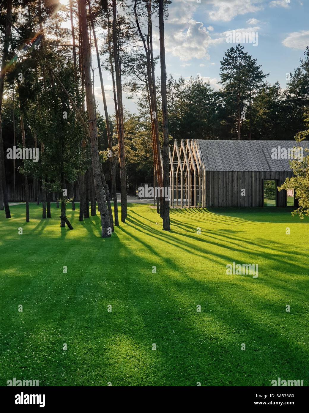 Moderna casa in legno in una pineta. La pineta proietta lunghe ombre sull'erba. Foto Stock