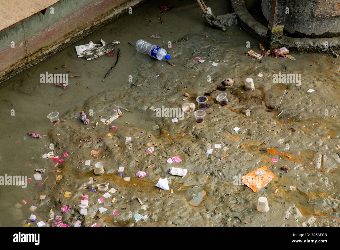 Vari tipi di bottiglie di plastica galleggiano lungo la corrente e si accumulano sulle rive del fiume Padma. Munshiganj, Bangladesh. Foto Stock