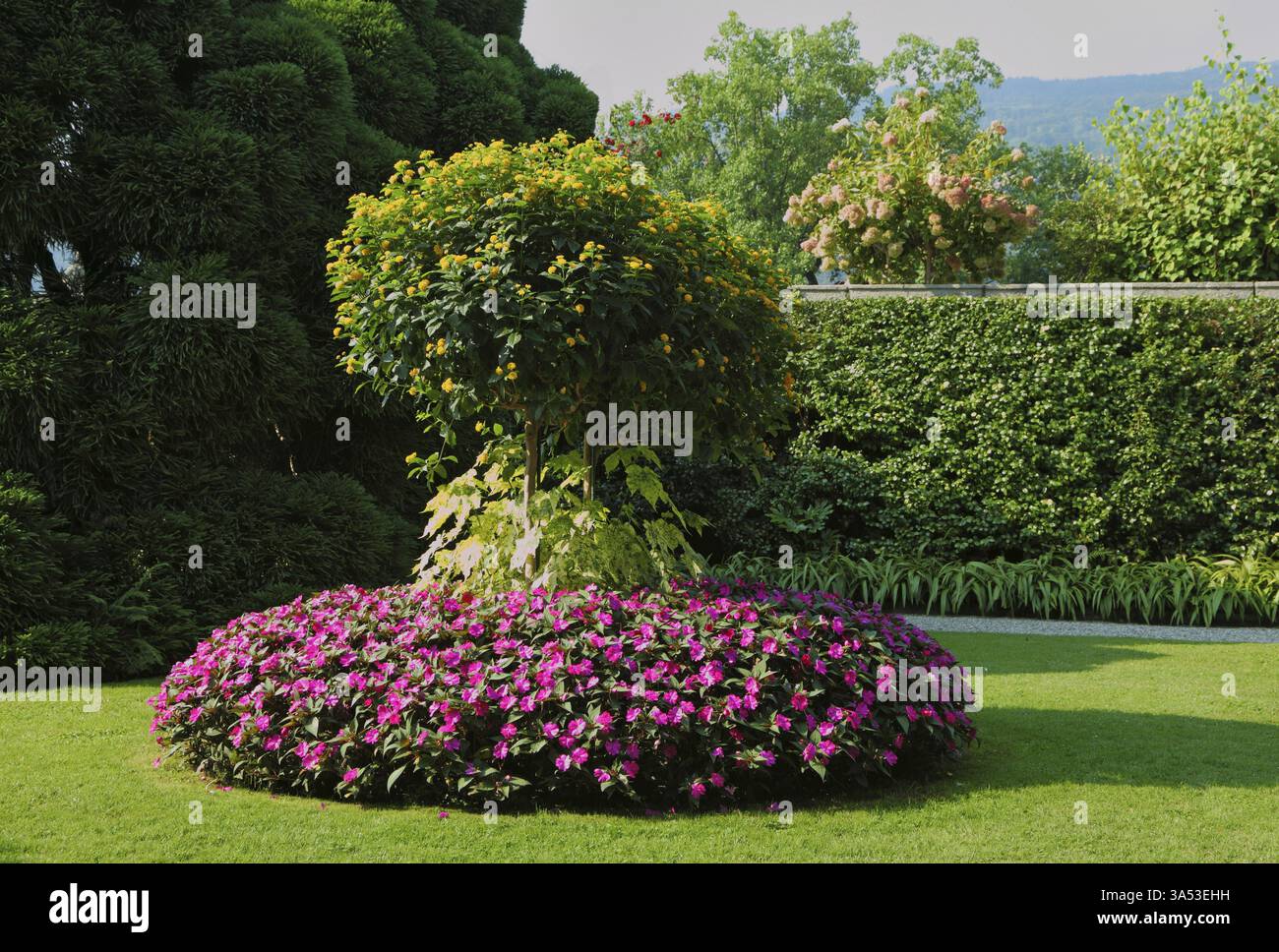 Nord Italia, Lago maggiore. Un capolavoro di arte paesaggistica. Aiuole luminose nel parco dell'isola di Isola bella Foto Stock