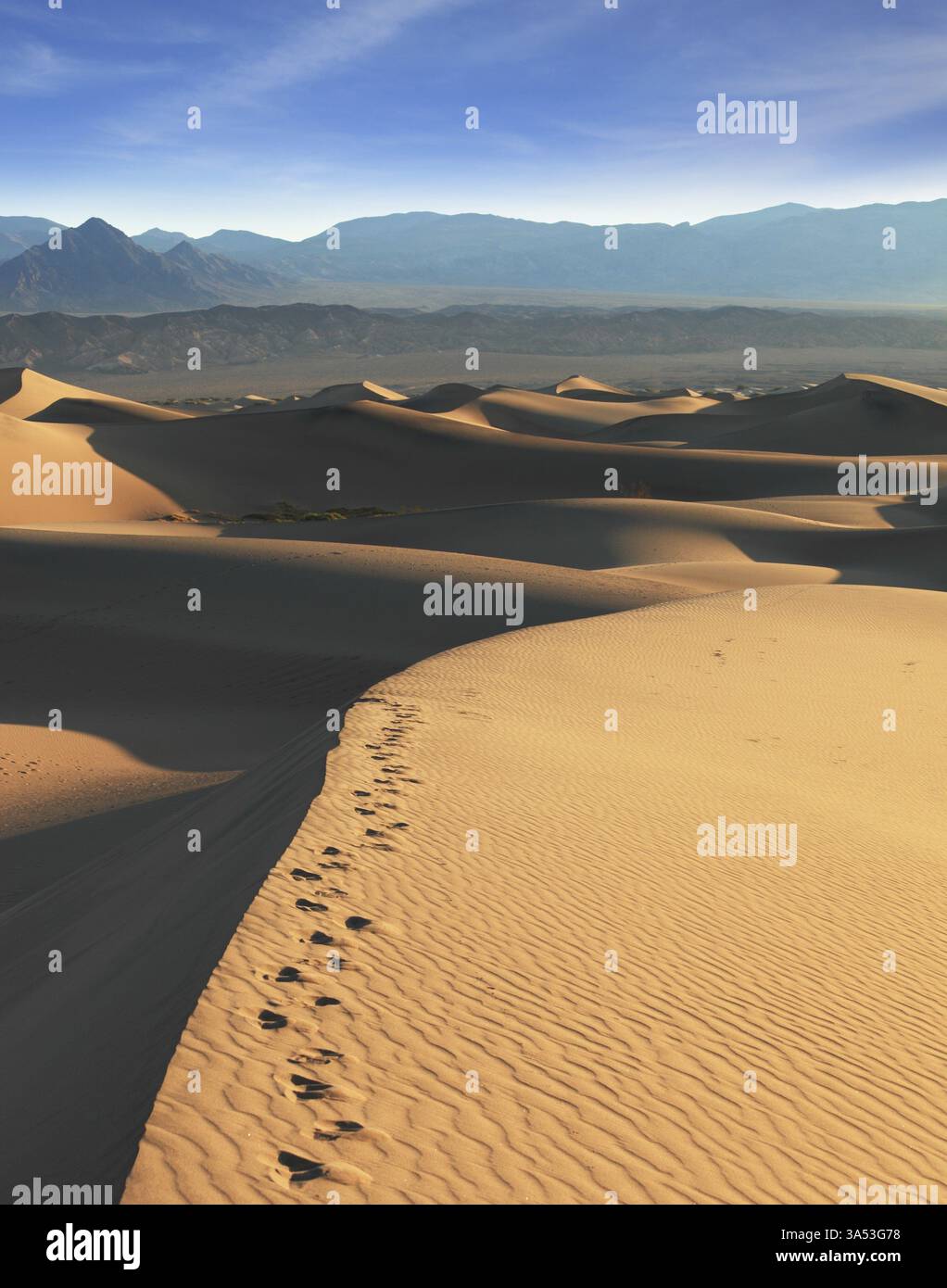Cresta della duna. La mattina presto nel deserto. Ombre improvvise, sottili increspature nella sabbia e tracce degli animali notturni del deserto Foto Stock