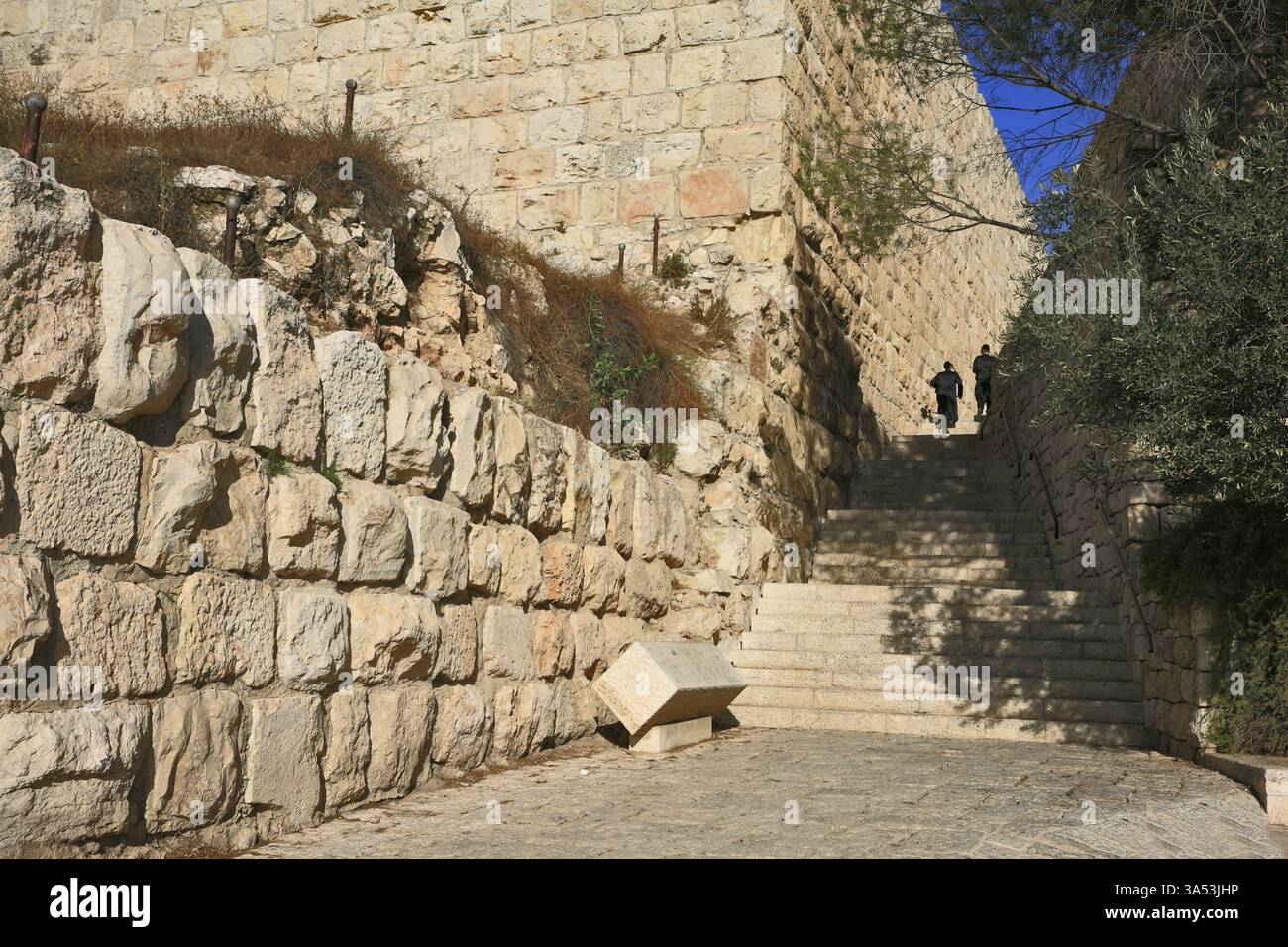 Gerusalemme - 10 settembre: Due ebrei religiosi con riccioli laterali, vestiti di nero, su gli antichi gradini di pietra vicino al muro del 10 settembre 2010 a Jeru Foto Stock