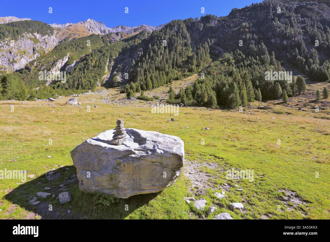 Prati verdi nella valle e boschi di conifere sulle colline. Giornata di sole nelle Alpi austriache Foto Stock