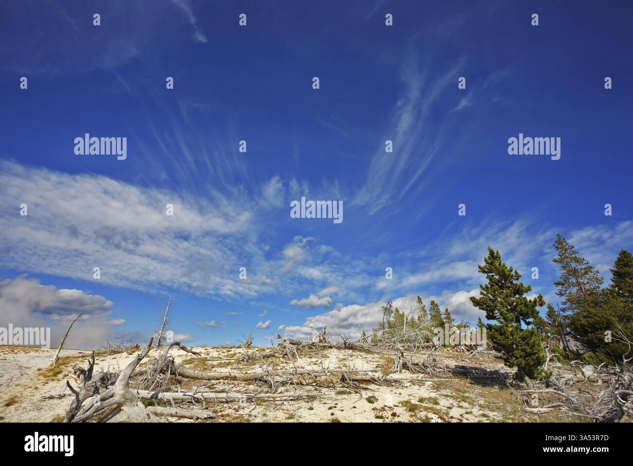 L'alto cielo blu scuro con nuvole freschissime sopra il parco nazionale di Yellowstone Foto Stock