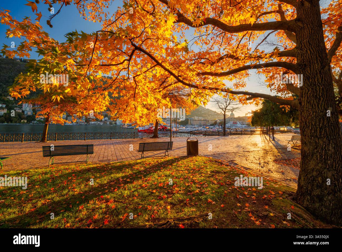 Lago di Como in autunno con splendidi colori autunnali delle foglie in una mattinata luminosa in Italia all'alba - un'immagine di viaggio Foto Stock Lago di Como in autunno con splendidi colori autunnali delle foglie in una mattinata luminosa in Italia all'alba - un'immagine di viaggio Foto Stock