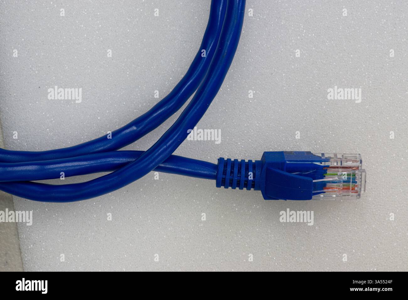 Cavo patch Ethernet arrotolato su bianco Foto Stock
