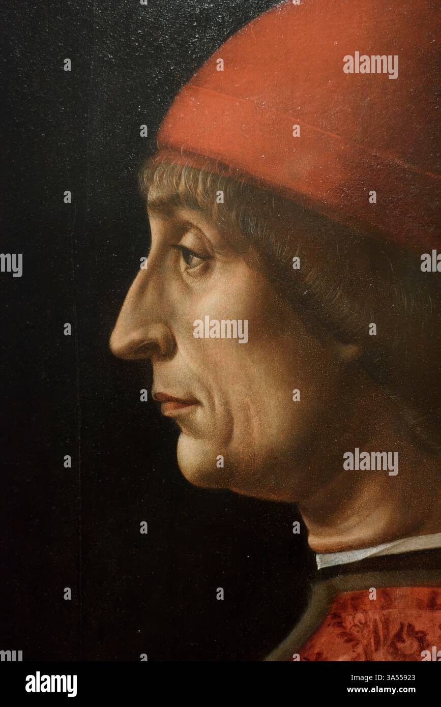 Vincenzo Foppa (1427/30 - 1515/1516), Ritratto di Giovanni Francesco Brivio, ca. 1495. Ritratto di Giovanni Francesco Brivio. Foto Stock