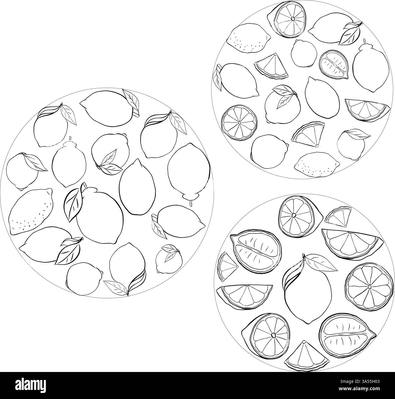 Limoni con foglie rotonde. Illustrazione fatta a mano con inchiostro Vector Graphic line in bianco e nero. Preparazione di alimenti e utensili da cucina. Per Illustrazione Vettoriale