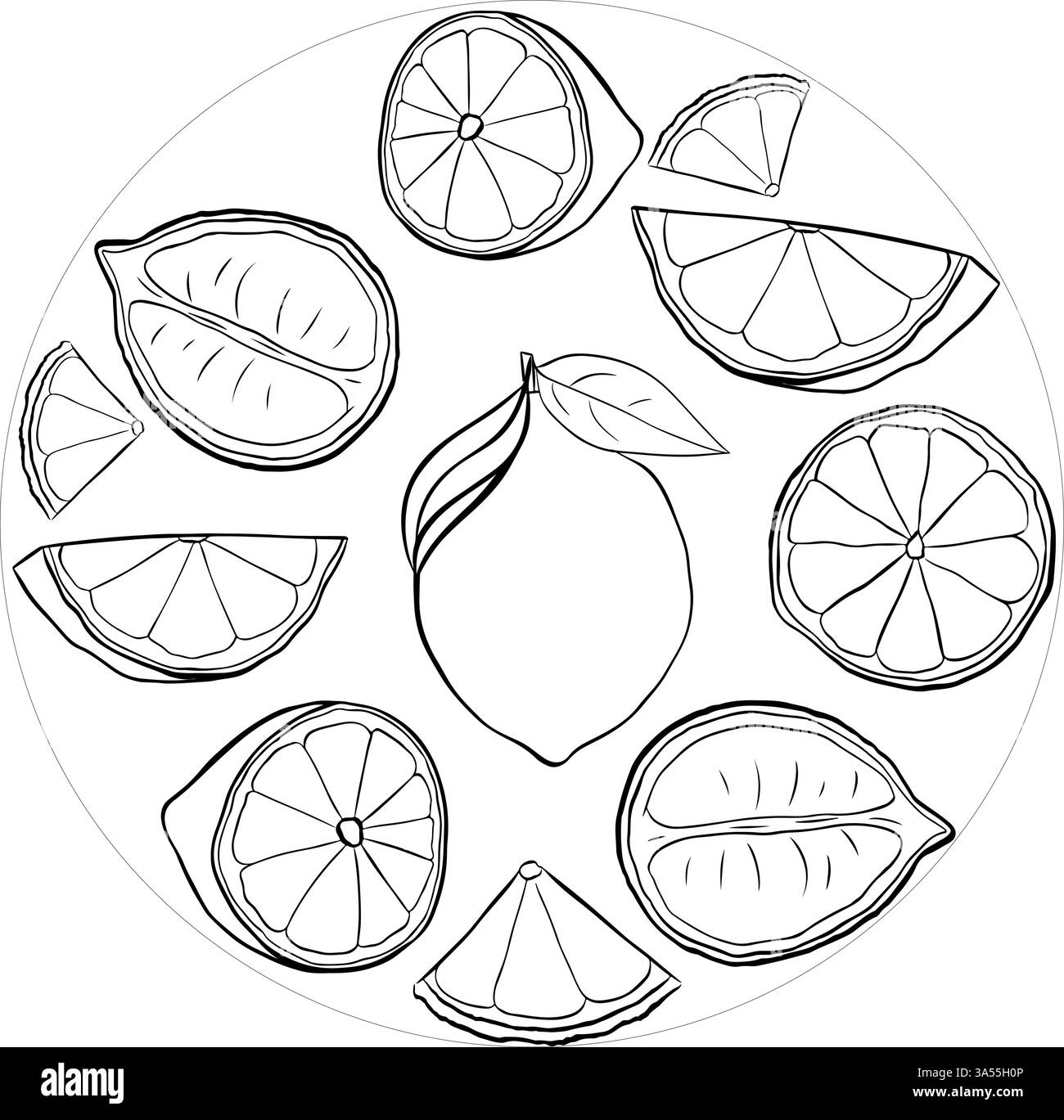 Fette di limone composizione circolare. Illustrazione grafica vettoriale in bianco e nero per logo, confezione, design da cucina, tessuto e tessuto. Illustrazione Vettoriale