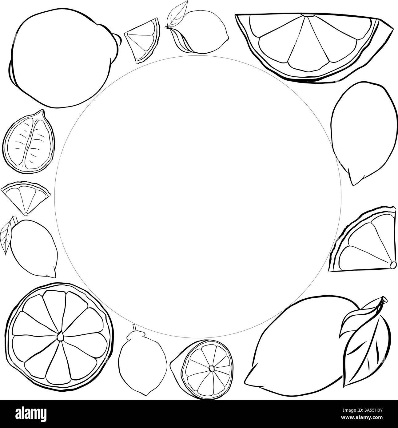 Limoni interi e fette con cornice quadrata foglie. Modello bianco e nero agrumi. Illustrazione dell'inchiostro con linee grafiche vettoriali con spazio vuoto per te Illustrazione Vettoriale