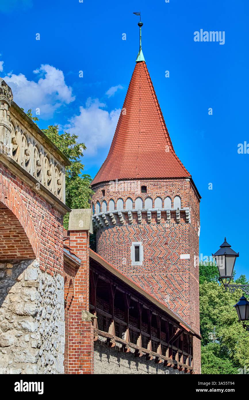 La Torre di Stolarska, comunemente nota come la torre del falegname, fu costruita nel XV secolo ed è coronata da una galleria e da un tetto conico, Cracovia, Polonia Foto Stock La Torre di Stolarska, comunemente nota come la torre del falegname, fu costruita nel XV secolo ed è coronata da una galleria e da un tetto conico, Cracovia, Polonia Foto Stock