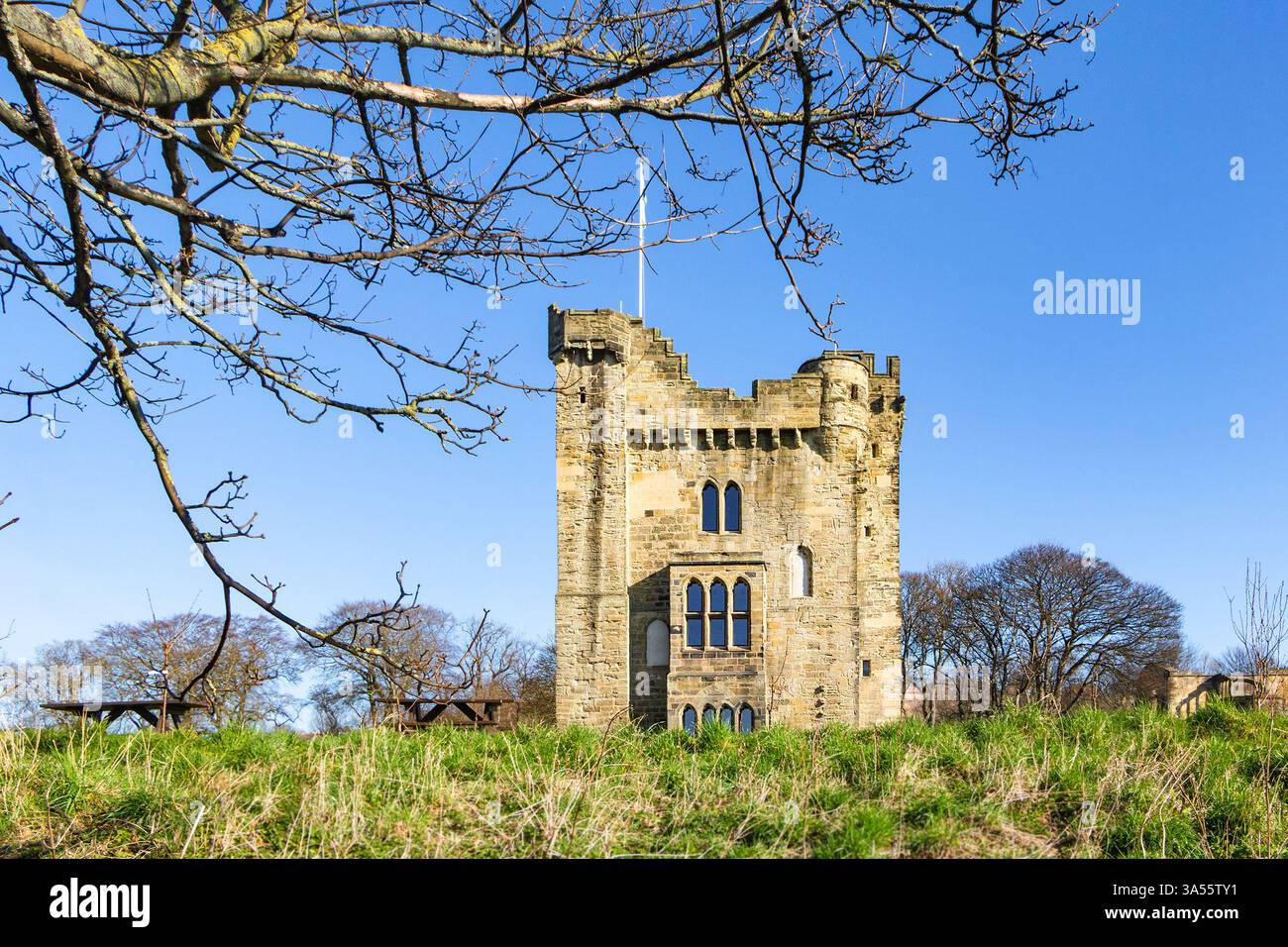 Il castello di Hylton rimane conchiglia di una porta del castello a 4 piani del XIV secolo con l'emblema di Riccardo II sul cancello. sunderland Tyne & Wear regno unito Foto Stock