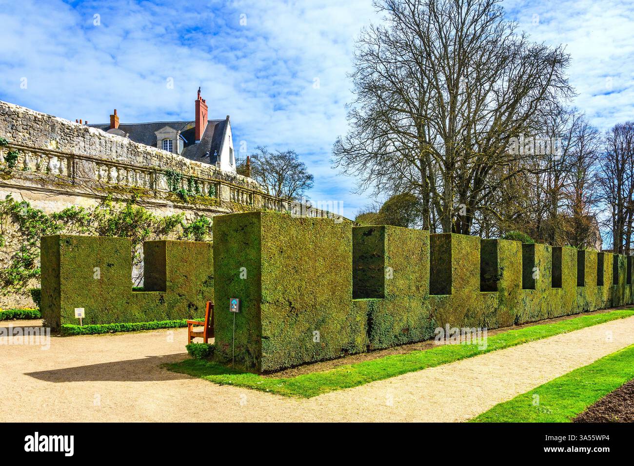 Topiario castellato nel giardino del museo delle Belle Arti - Tours, Indre-et-Loire (37), Francia. Foto Stock