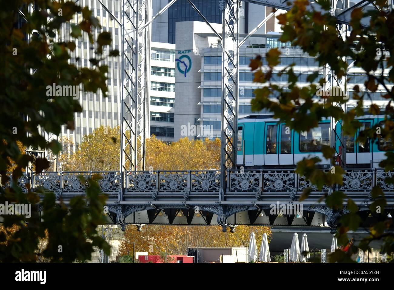 Una metropolitana parigina che attraversa la Senna sull'Austerlitz viaduc (ponte). Foto Stock
