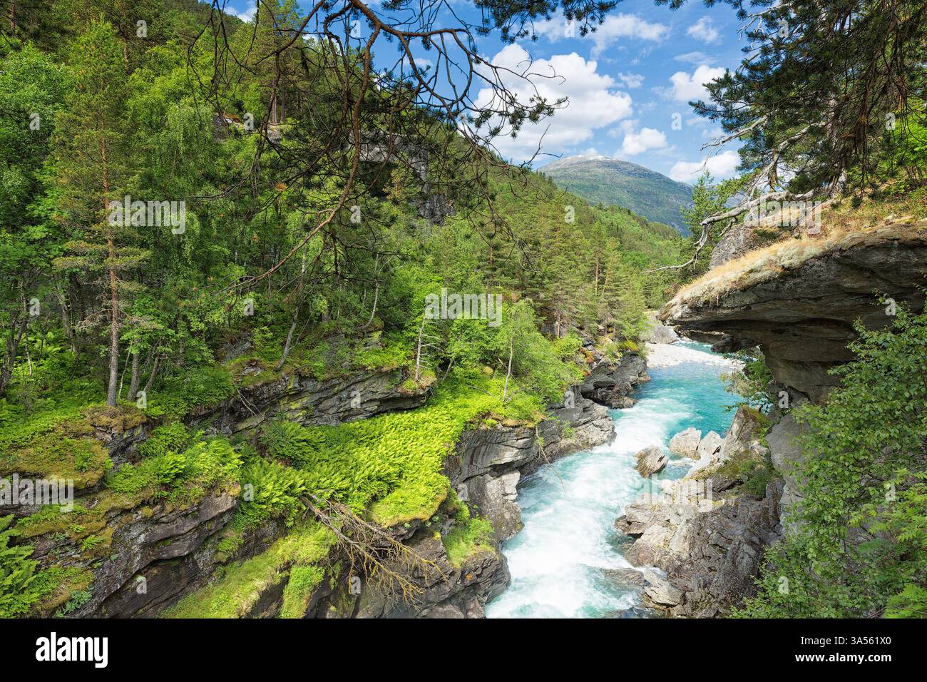 Una foresta lussureggiante in un canyon con un fiume e una cascata e montagne sullo sfondo - Slettafossen, Norvegia Foto Stock Una foresta lussureggiante in un canyon con un fiume e una cascata e montagne sullo sfondo - Slettafossen, Norvegia Foto Stock
