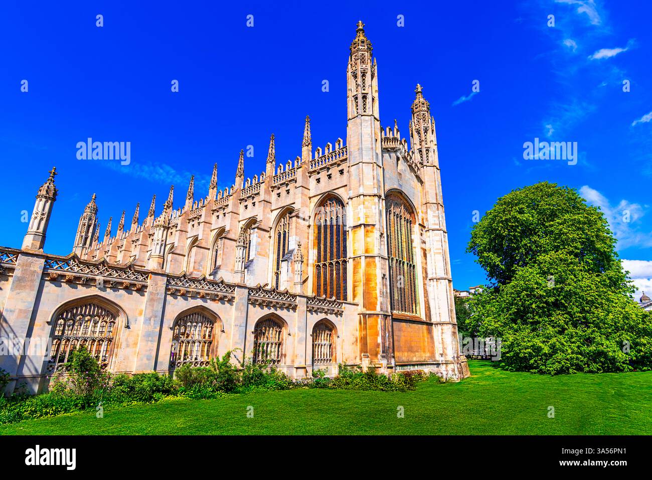 Cambridge, Cambridgeshire, Inghilterra, Regno Unito: Kings College Chapel, sul giardino verde in una splendida giornata primaverile Foto Stock