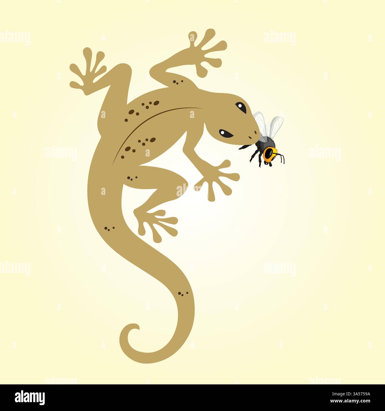 Un geco che cattura una mosca in bocca Illustrazione Vettoriale