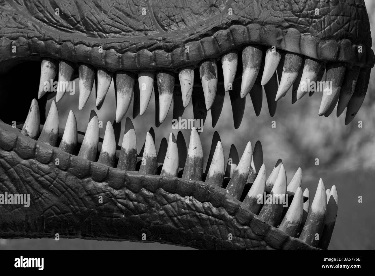Bocca della bestia – denti affilati preistorici di Predator. Predatore monocromatico. Foto Stock