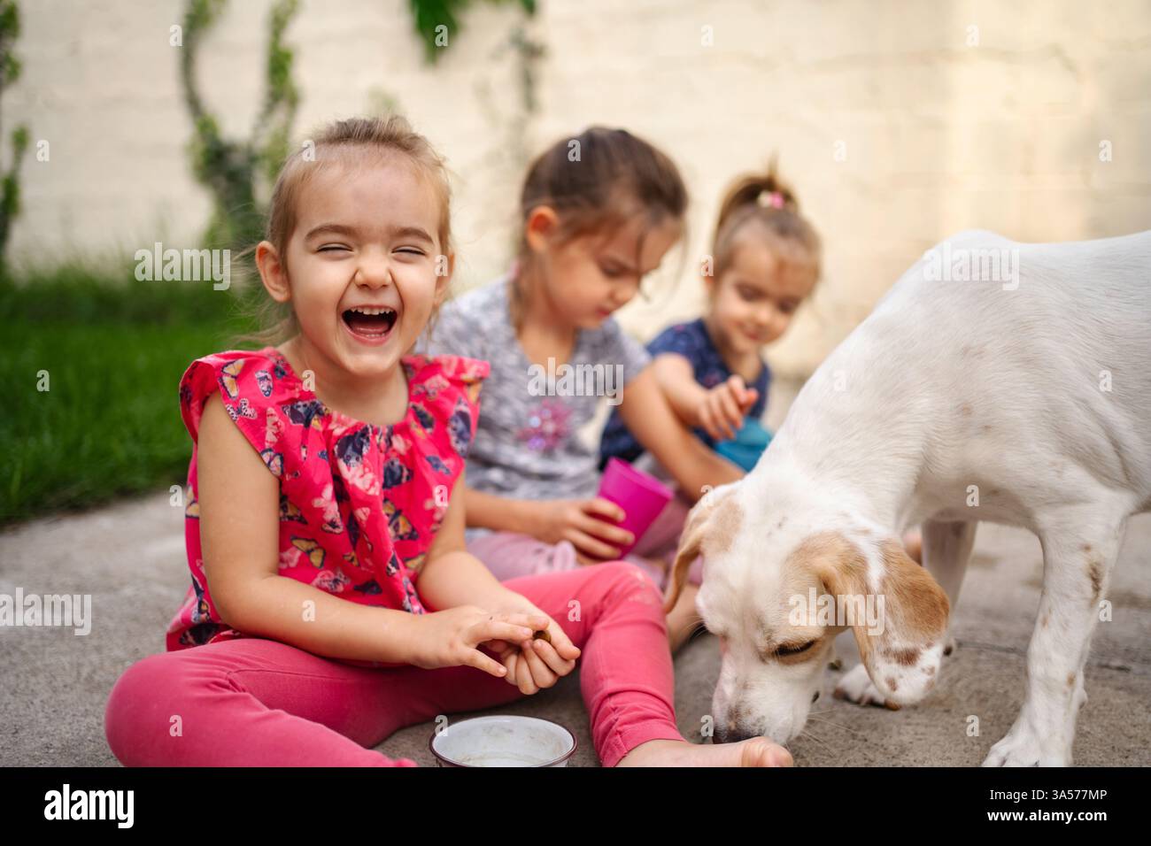 Bambini allegri che giocano con il loro cane in un cortile soleggiato Foto Stock