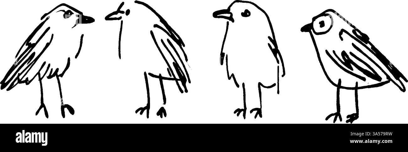 Una collezione di quattro semplici illustrazioni di uccelli disegnate a mano, ognuna con caratteristiche e posture distinte, che mostrano uno stile divertente e artistico. Illustrazione Vettoriale