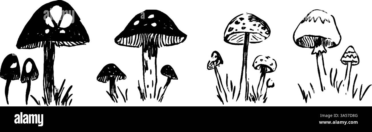 Stravagante collezione di funghi disegnati a mano Illustrazione Vettoriale