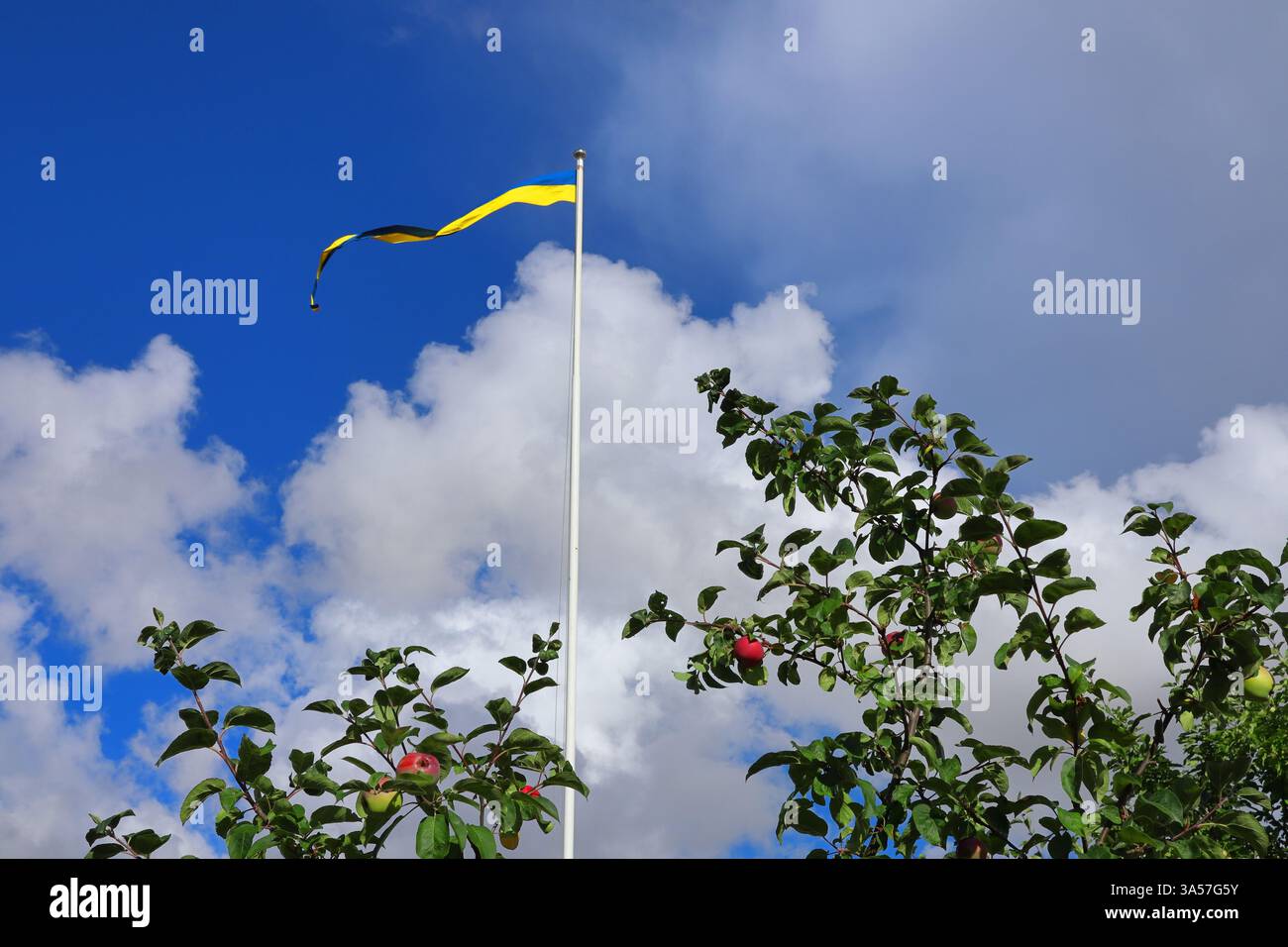 Una bandiera svedese contro un cielo blu con alcune nuvole bianche. Rami di alberi di richiamo davanti. Un giorno estivo di sole all'aperto. Spazio di copia per il testo extra. V Foto Stock