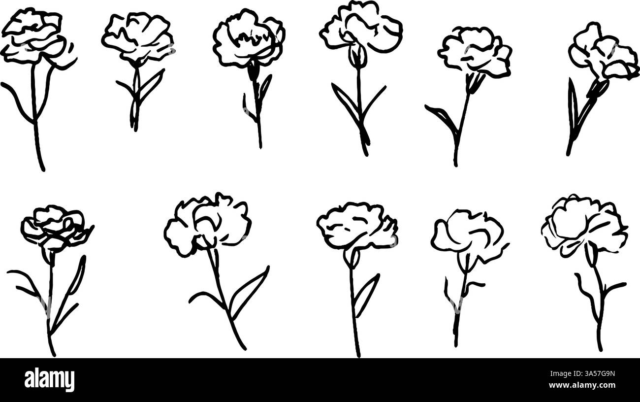 Una collezione di fiori di garofano disegnati a mano in varie pose, che mostrano i loro delicati petali e gli steli sottili. Le illustrazioni sono semplici e. Illustrazione Vettoriale