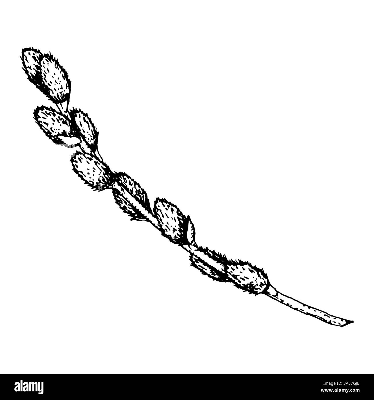 Immagine di un cestello in tessuto con manico. Perfetto per temi pasquali, decorazioni rustiche, packaging, branding, allestimenti botanici Illustrazione Vettoriale