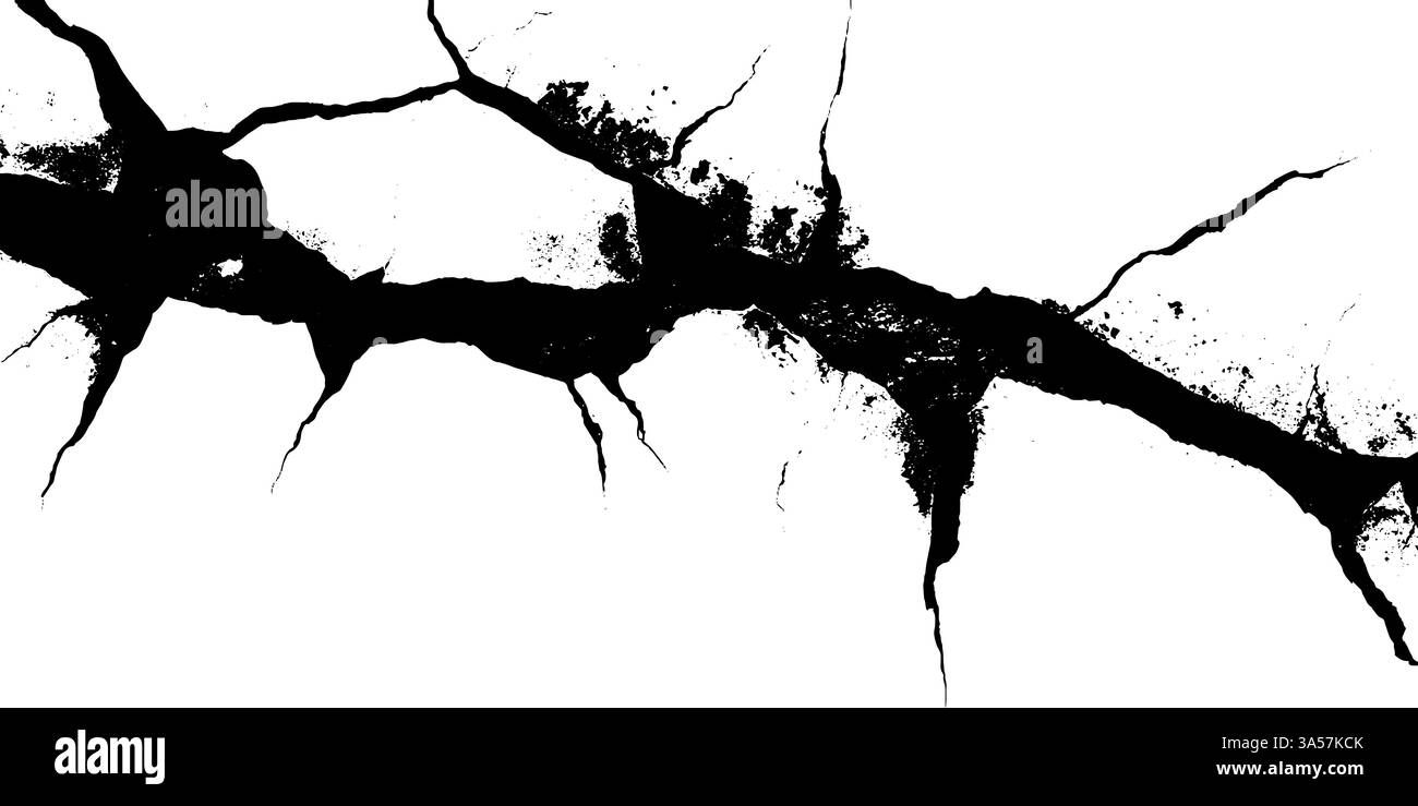 Esplorando l'intricata bellezza delle trame di crack nell'arte monocromatica e le loro forme espressive in un paesaggio creativo Illustrazione Vettoriale