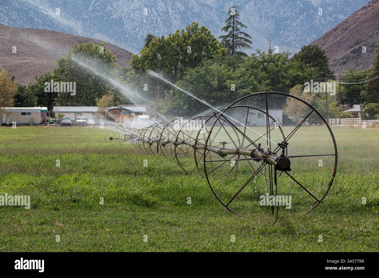 Un impianto sprinkler su ruote grandi annaffia un campo nella Valle di Owens. Foto Stock