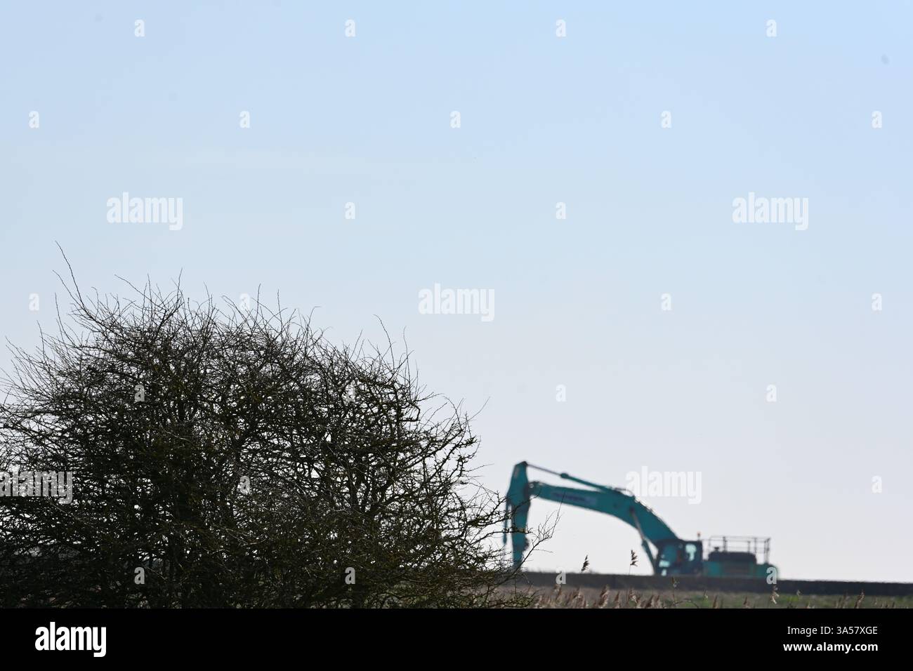 jcb scavò in campagna Foto Stock