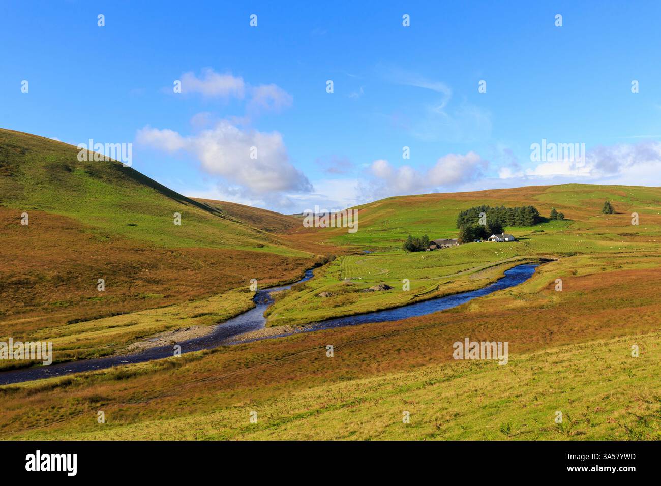 Avon Ystwyth, Cwmystwyth, Galles, Regno Unito Foto Stock