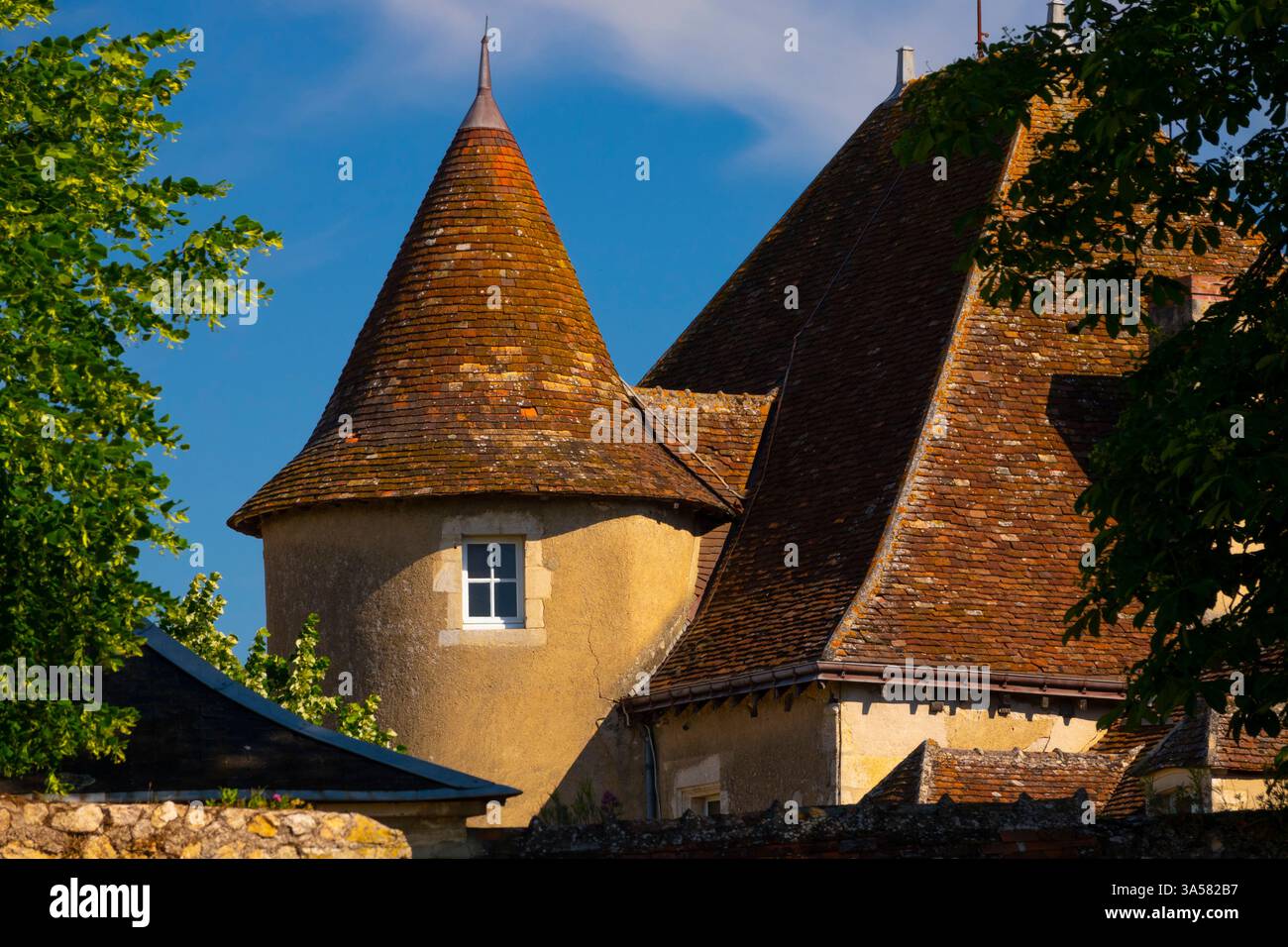 Francia, Indre (36), le Blanc, castello di Naillac, Ecomusee de la Brenne Foto Stock