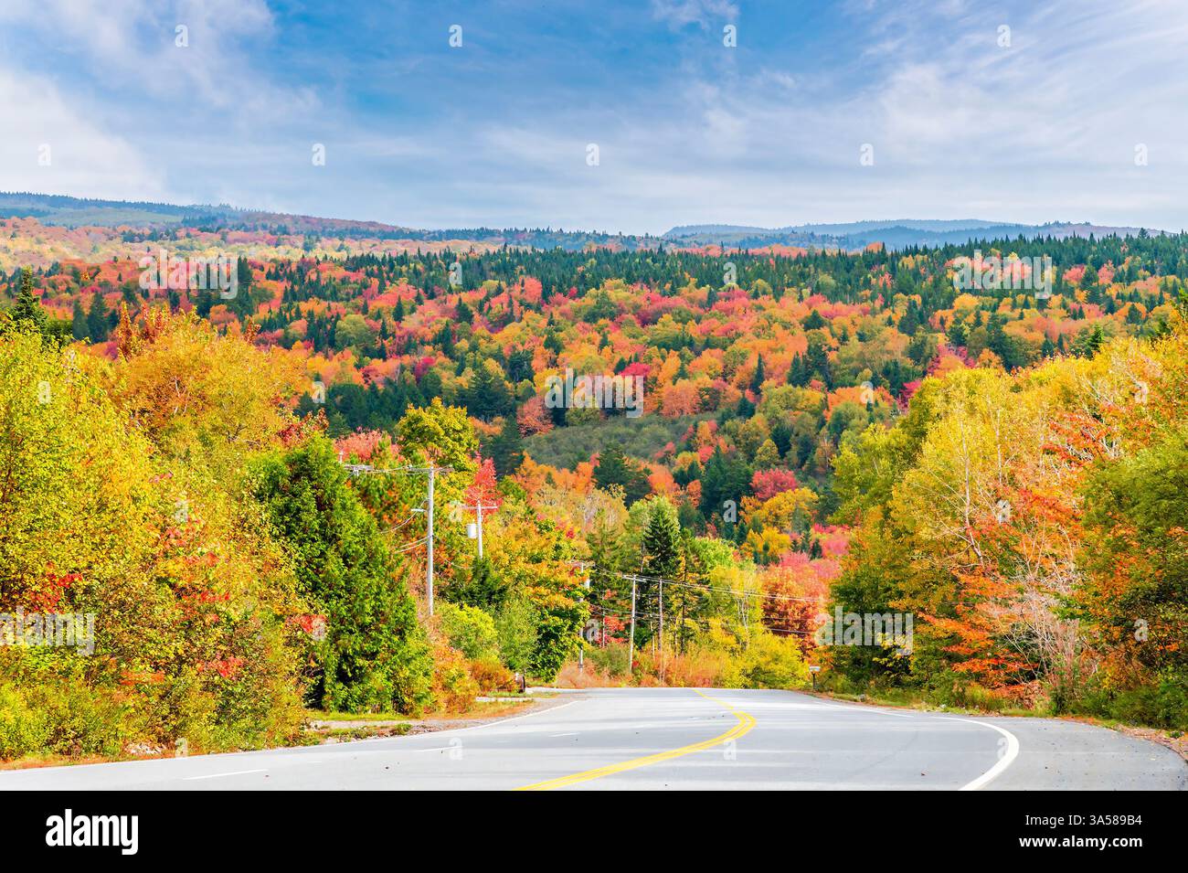 Una vista dei colori autunnali che si avvicinano a una curva sulla strada vicino a Saint John, New Brunswick in autunno Foto Stock