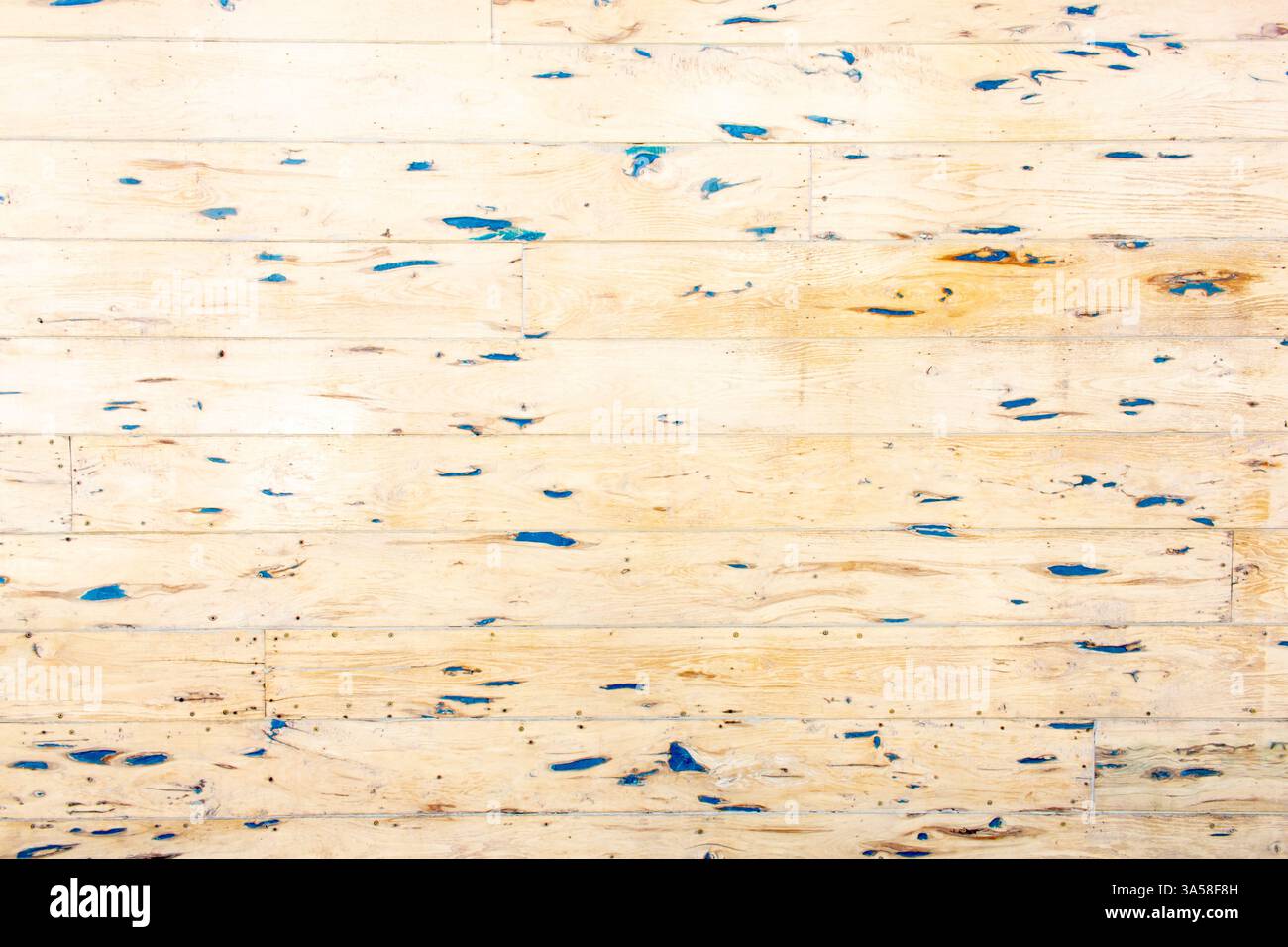 Una vista di moderni pannelli di legno con nodi blu, come sfondo. Foto Stock