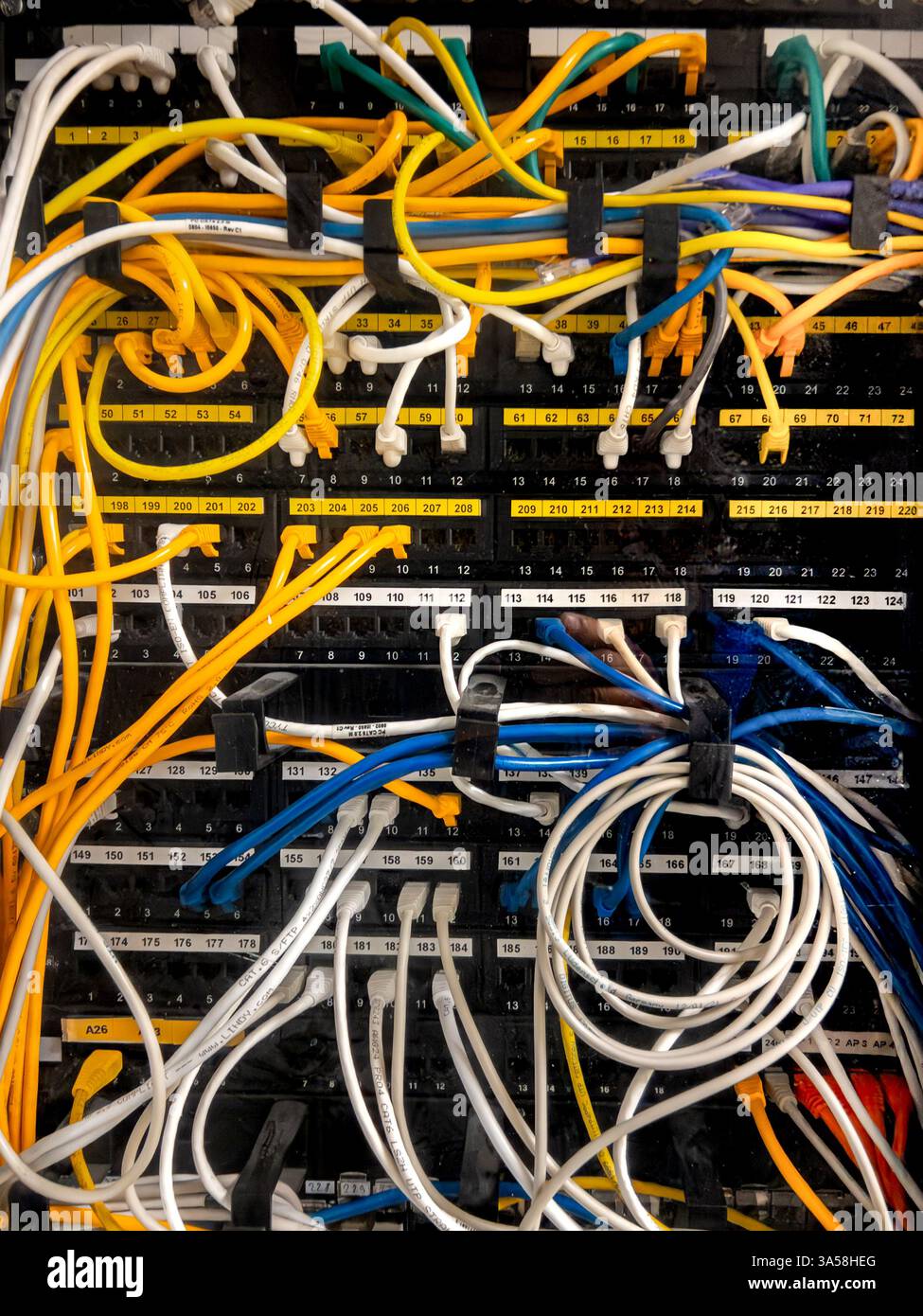 Rack per server con cavi patch Internet blu gialli e bianchi collegati a un pannello patch nero numerato in una sala server. Reti Intranet Foto Stock