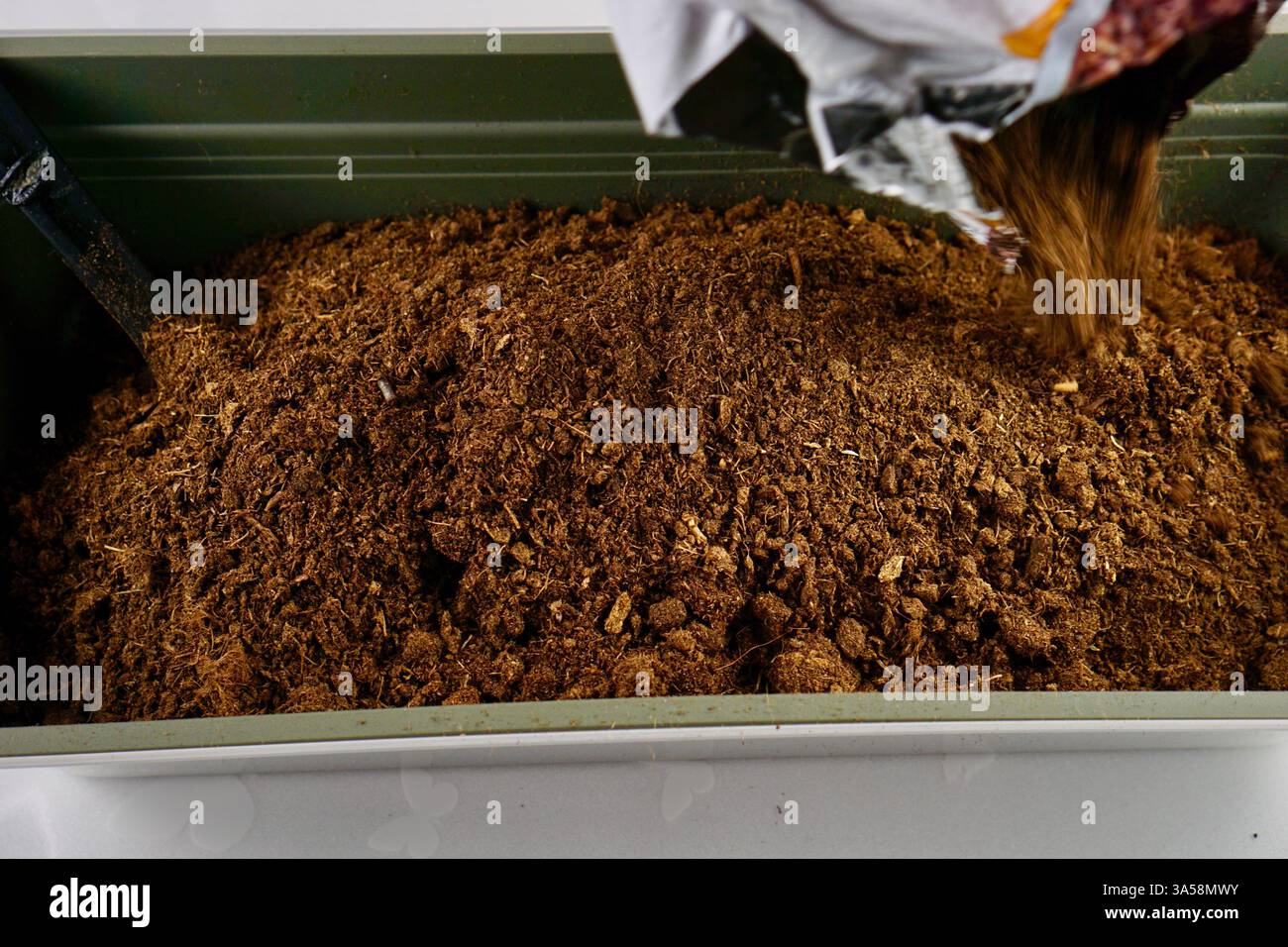 Terreno fresco accumulato in una pentola di plastica, pronto per la semina. l'immagine mostra una configurazione semplice ma efficace per il giardinaggio domestico, sottolineando la facilità di avviare progetti di impianti in interni. la vibrante consistenza del terreno nel contenitore pulito mette in risalto il concetto di nutrire le piante a casa. Perfetta per contenuti relativi al giardinaggio fai da te, alle piante da interno e all'orticoltura domestica, l'immagine invita coloro che sono interessati a coltivare le proprie piante in modo semplice e accessibile. Foto Stock