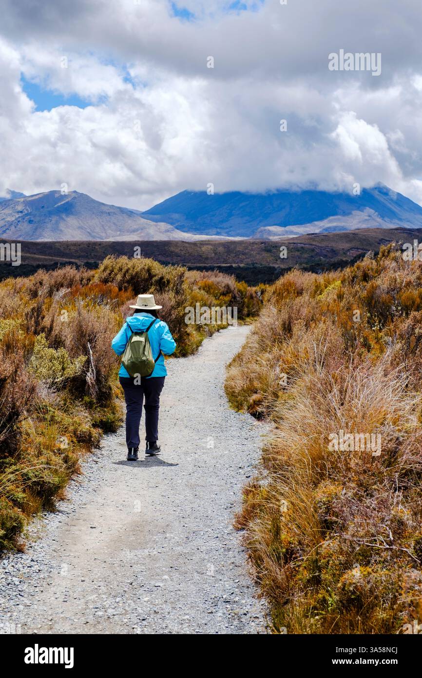 Fai un'escursione al Taranaki Falls Track, al Tama Lakes Track e al Tongariro Northern Circuit Trail, al Monte Ngauruhoe, al Monte Doom sullo sfondo, al Parco Nazionale del Tongariro Foto Stock