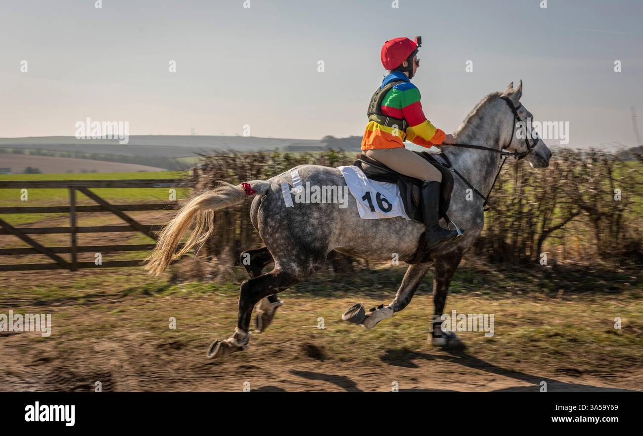 La più antica corsa di cavalli in Inghilterra, il Kiplingcotes Derby nello Yorkshire Wolds si svolge il terzo giovedì di marzo di ogni anno ed è stata fondata nel 1519. Se non dovesse succedere, sarà la fine di questo evento annuale e non accadrà mai più. Foto Stock