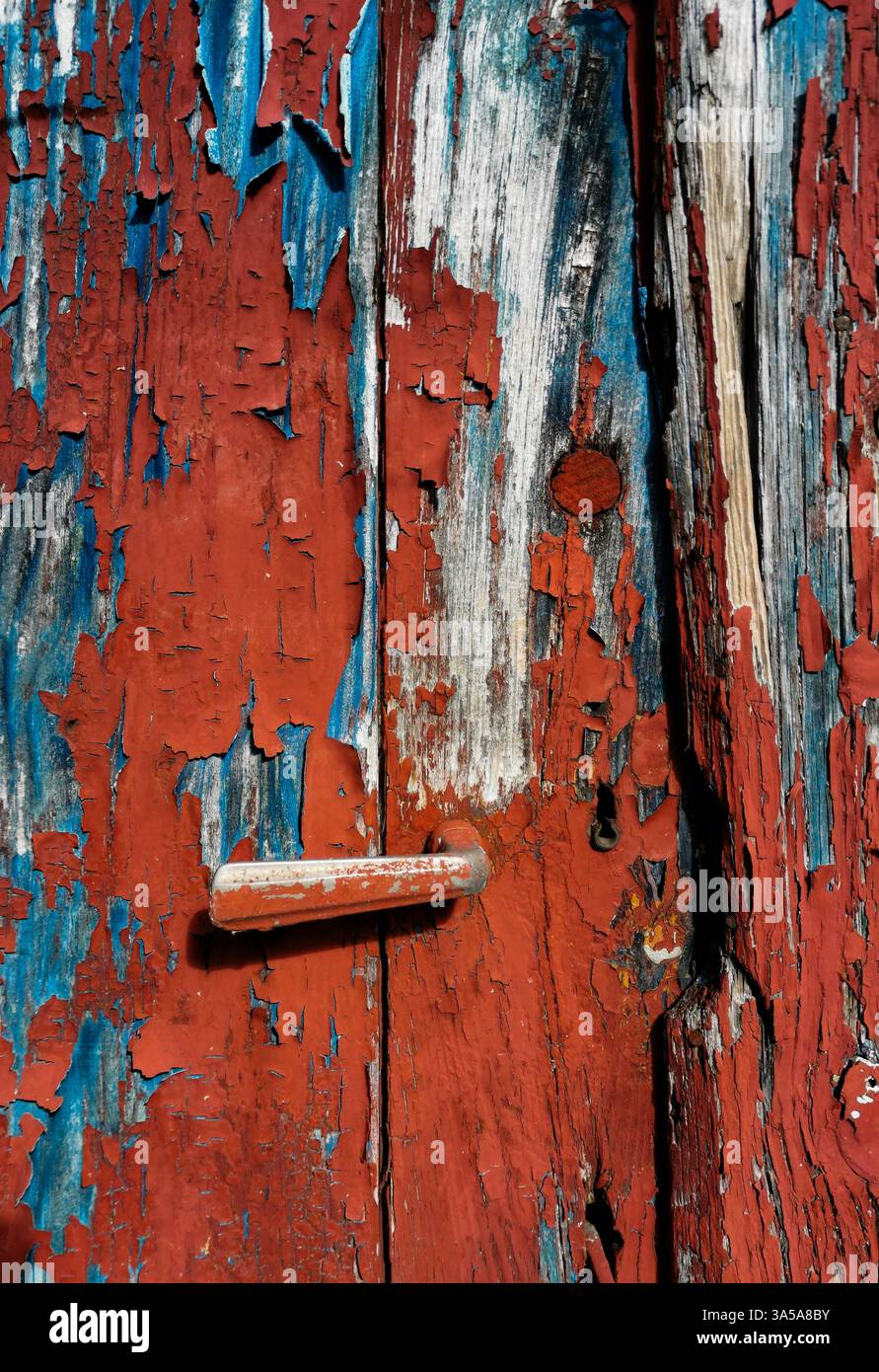 Una vista ravvicinata di una vecchia porta in legno rivela strati di vernice sbucciante in sorprendenti tonalità blu e rosso. La porta ha un fascino rustico Foto Stock