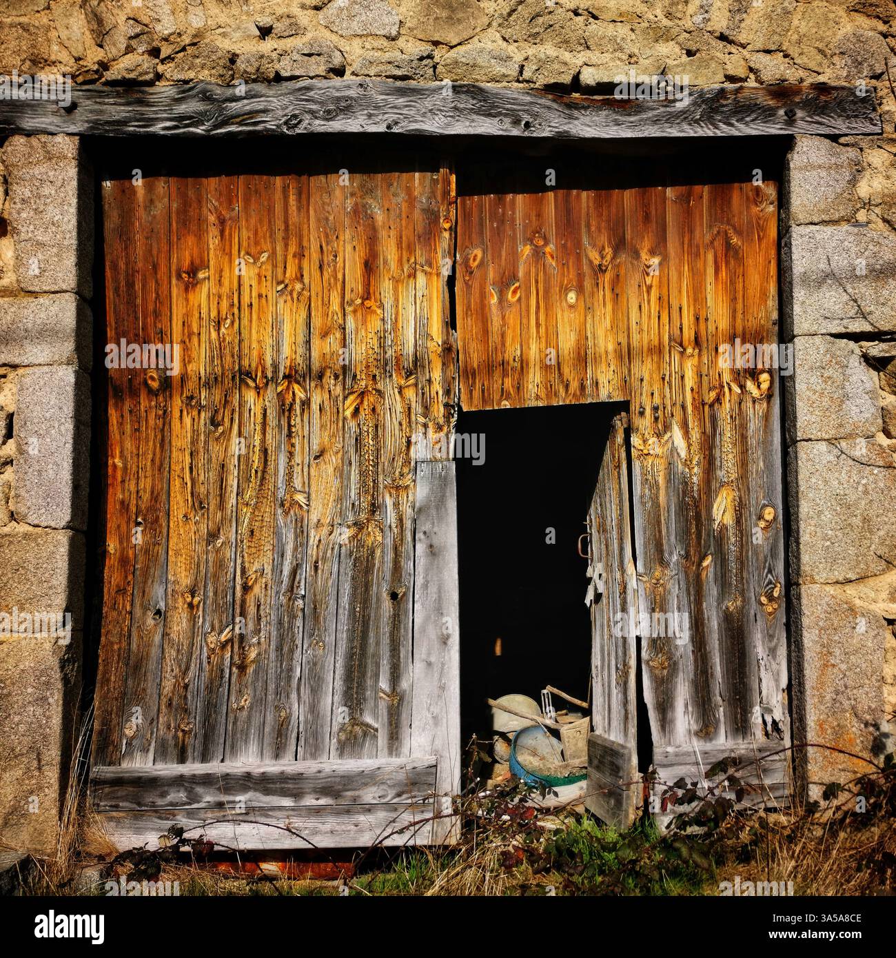Porta rustica in legno con struttura resistente agli agenti atmosferici e erba ricoperta in una zona rurale - Immagine stock catturata con smartphone