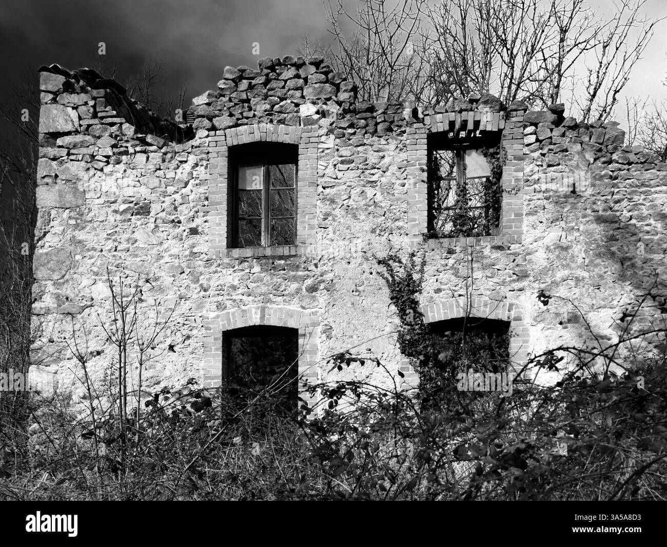 Rovine di un vecchio edificio in pietra circondato da vegetazione sovrastata vicino a un'area boschiva. Auvergne. Francia - Immagine stock catturata con smartphone