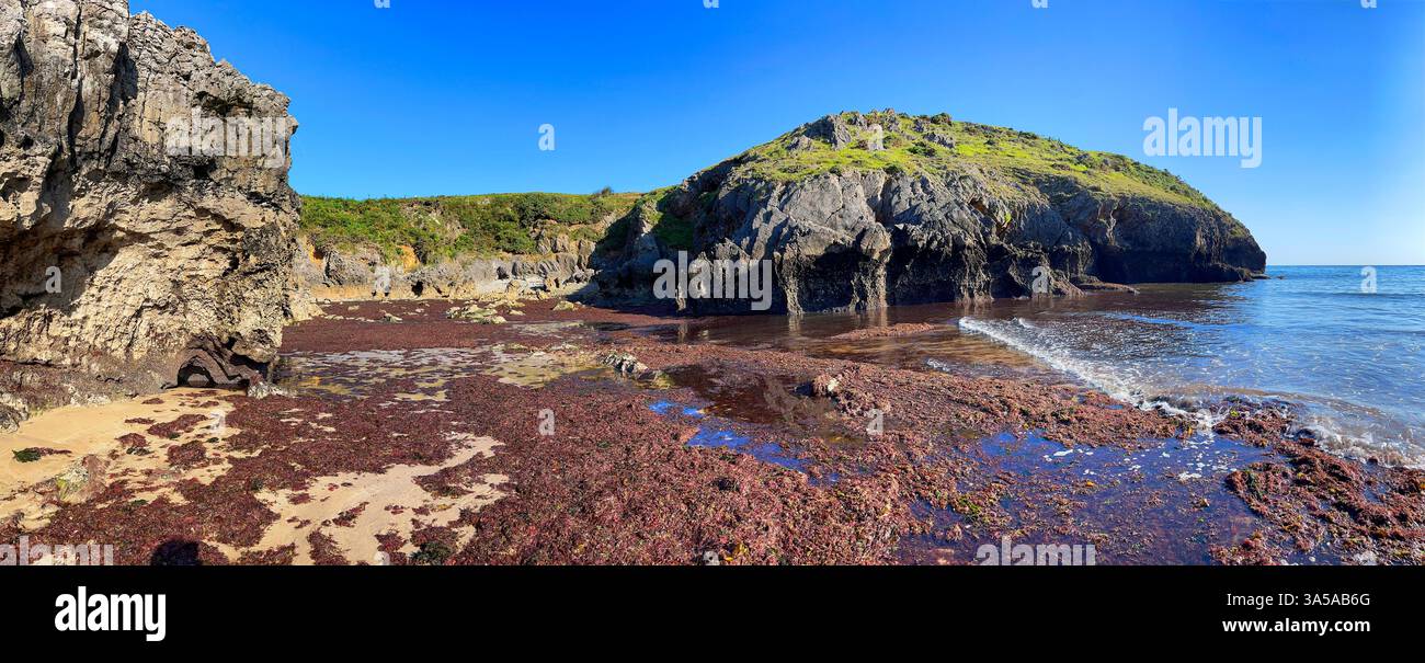 Alghe e bassa marea. Spiaggia di Torimbia, Niembro, Asturie, Spagna. - Immagine stock catturata con smartphone