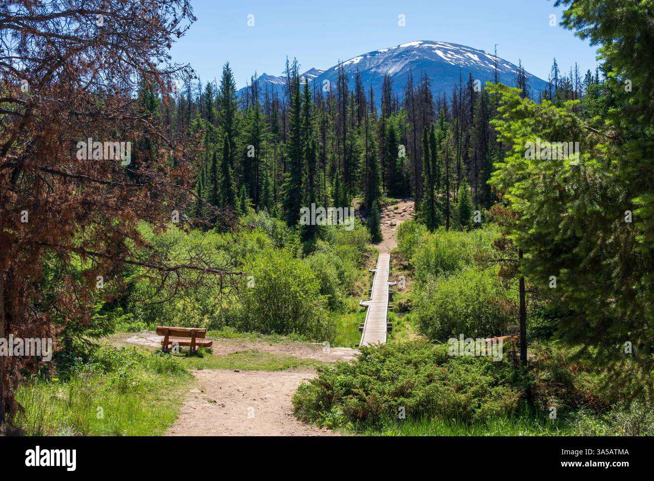 Panchina di legno sul sentiero escursionistico per Valley of the Five Lakes, Jasper National Park, Alberta, Canada. Foto Stock