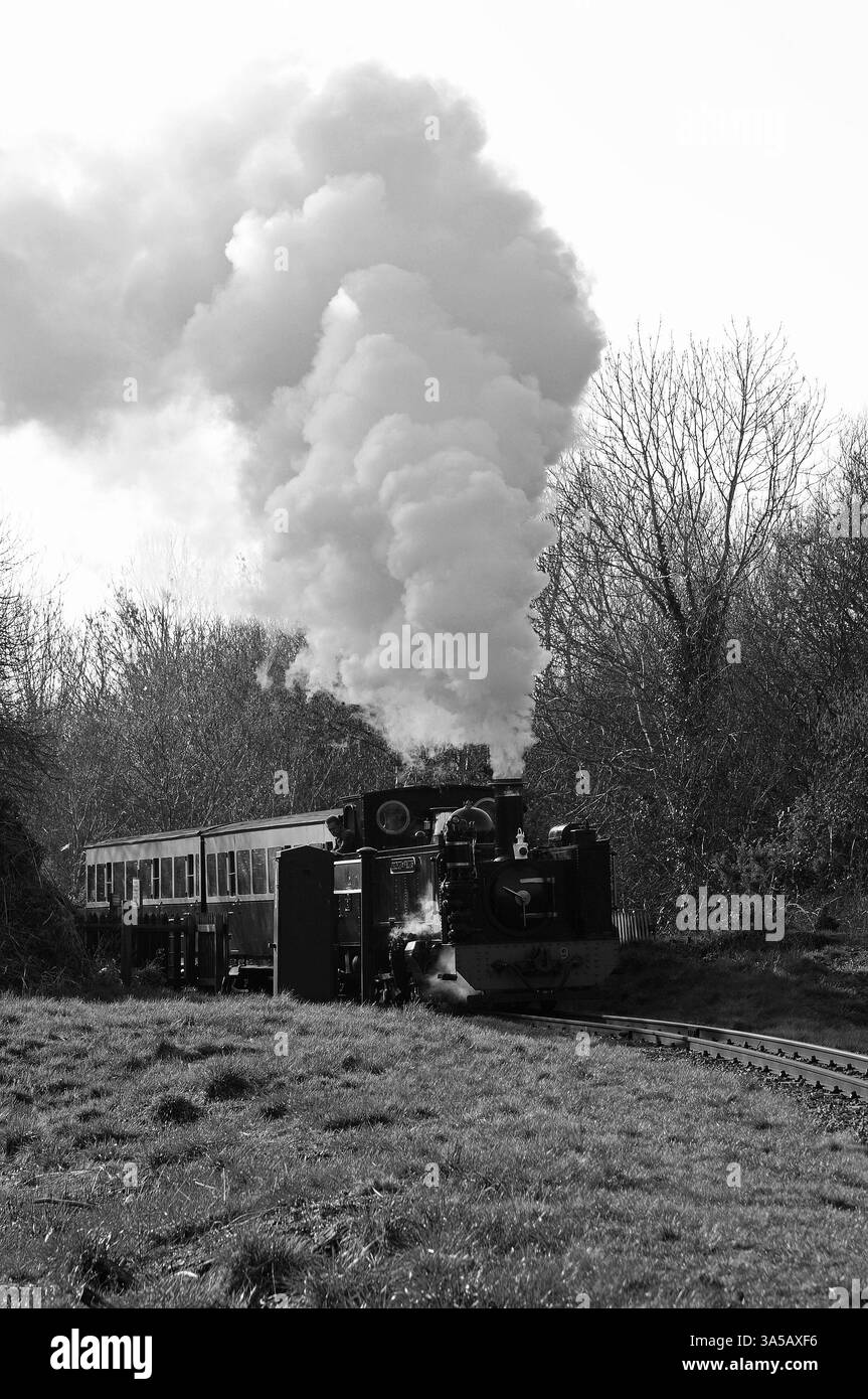 Il "Principe del Galles" a Glanyrafon si ferma con un treno misto. Foto Stock