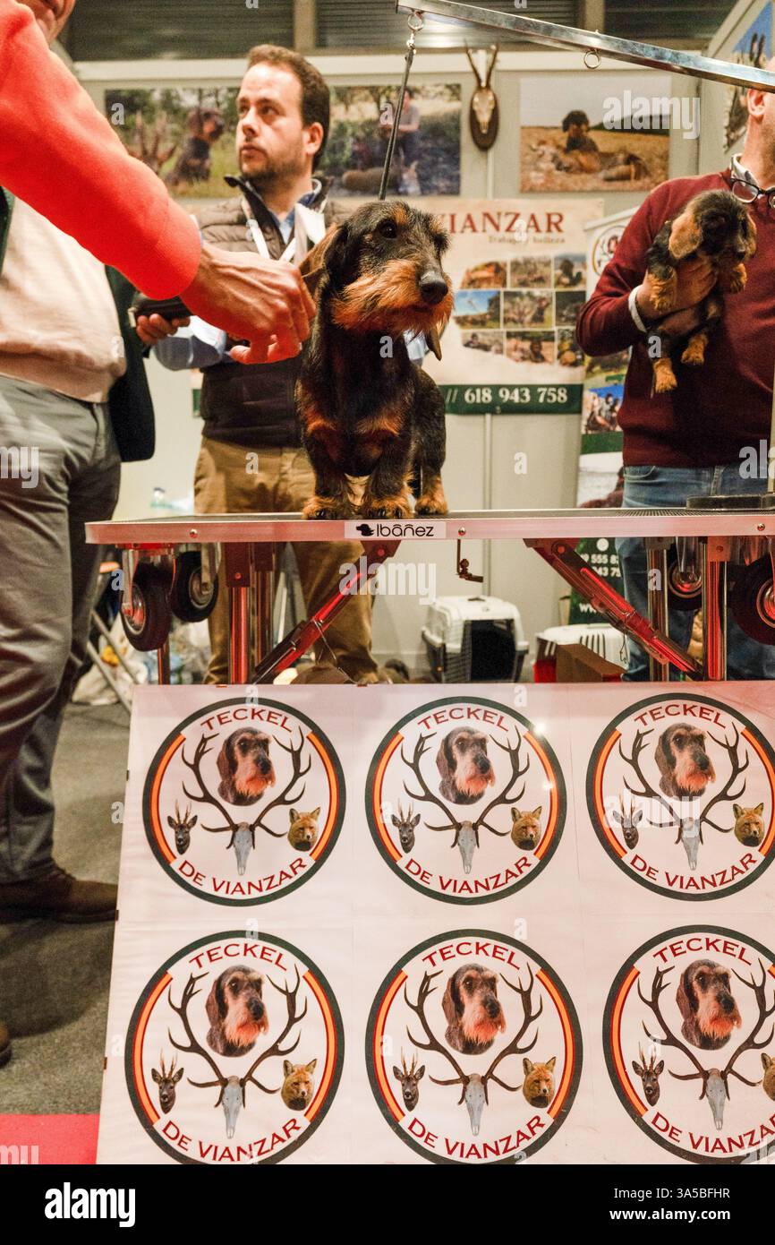 Madrid, Spagna - 22 marzo 2025. Cinegética è una mostra dedícated dedicata al mondo della caccia, che unisce l'esperienza delle due più importanti fiere di caccia in Spagna: Venatoria e FICAAR. L'evento riunisce tutti gli specialisti nei settori della caccia, delle armi e della natura e mira a essere il riferimento del mondo della caccia in Spagna e uno dei più importanti in Europa. Crediti: Roberto Arosio/Alamy Live News. Foto Stock